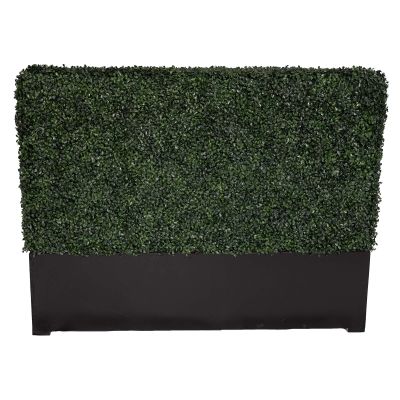 Image of Alta Double Sided Short Boxwood Hedge